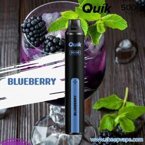 quik 5000 blueberry บลูเบอรี่